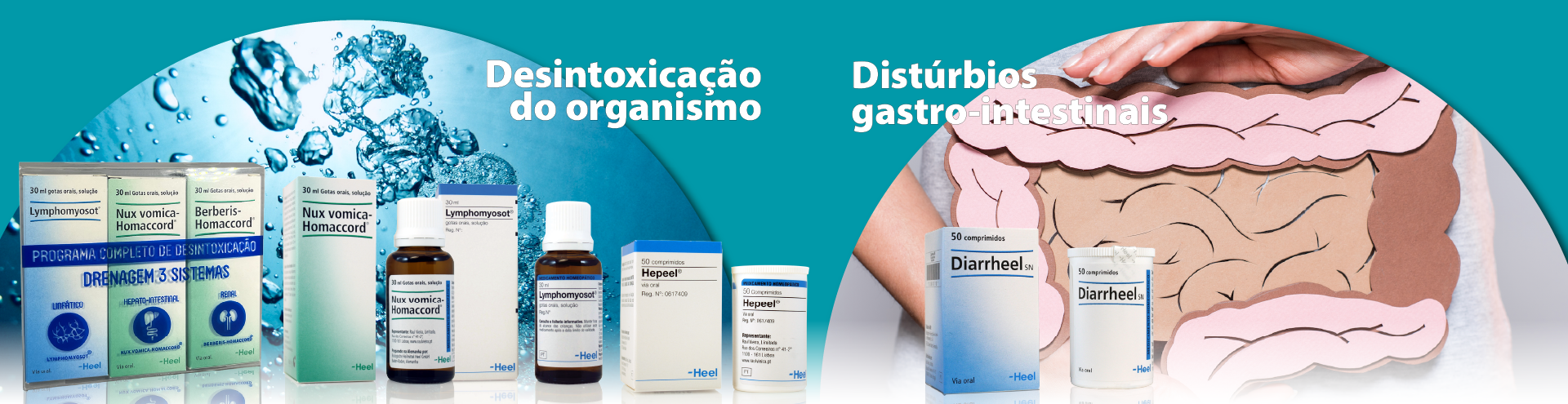 Desintoxica&ccedil;&atilde;o do Organismo