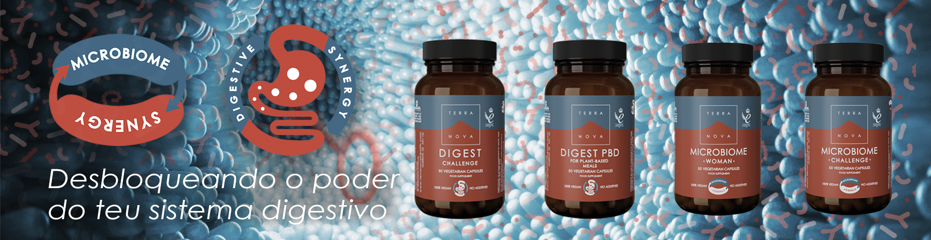 Disgestive Synergy. Desbloqueando o poder do teu sistema digestivo. Descobre j&aacute;!