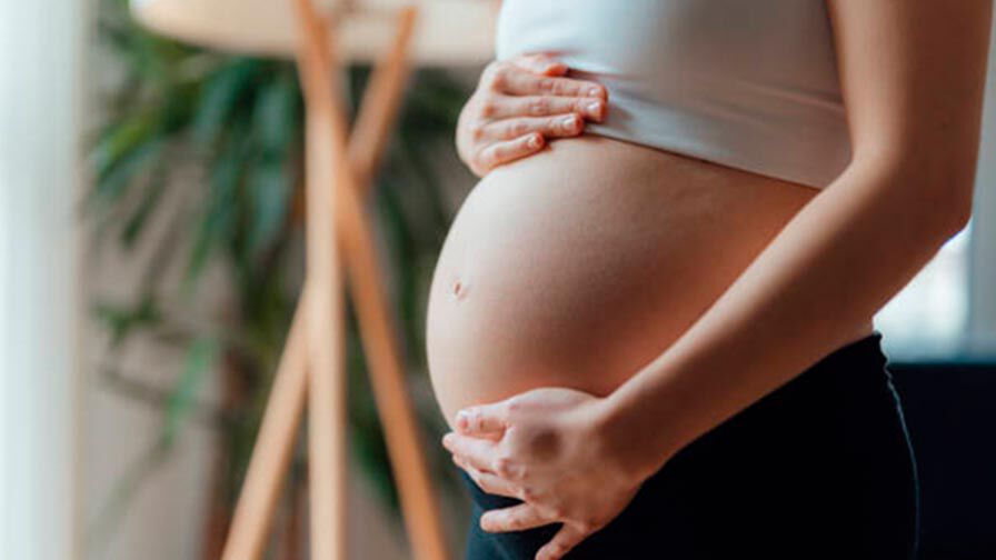 mulher grávida a tocar na barriga ciclo menstrual na gravidez, amamentação e pós-parto
