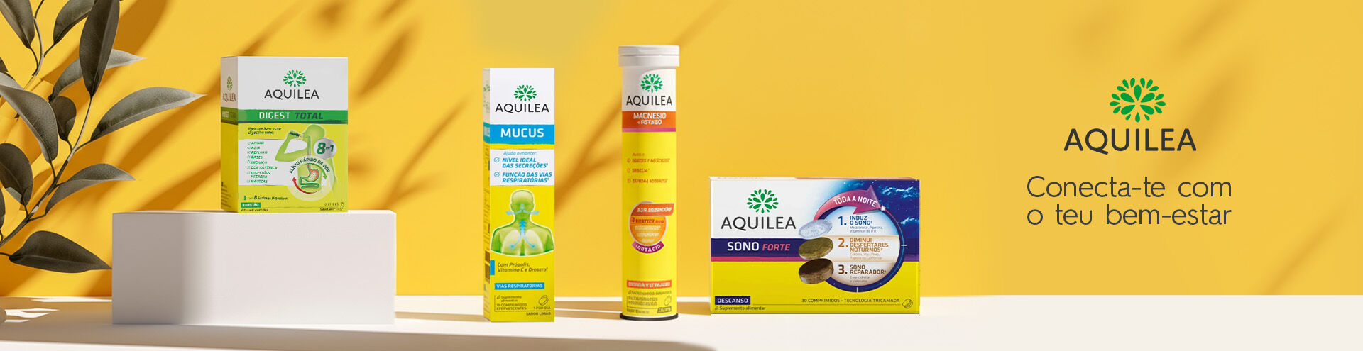 Aquilea, conecta-te com o teu bem-estar.