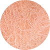 Label - pele mista a oleosa - CLP Cosmetica