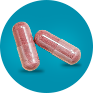 WF - Cápsulas - CLP Suplementos