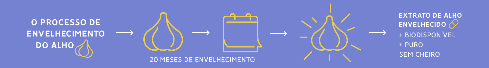 Kyolic Explicação extrato de alho envelhecido Kyolic Explicação extrato de alho envelhecido