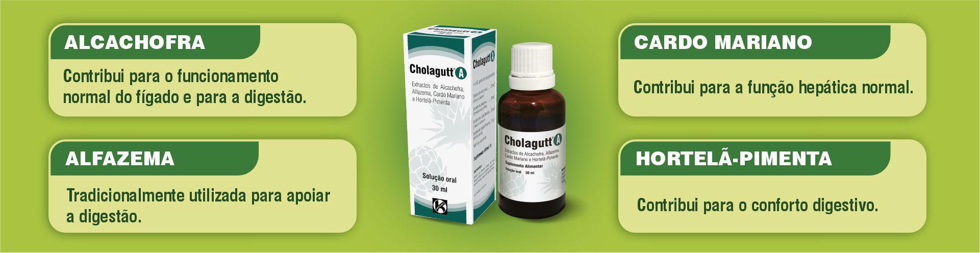Benef&iacute;cios dos Ingredientes Cholagutt A