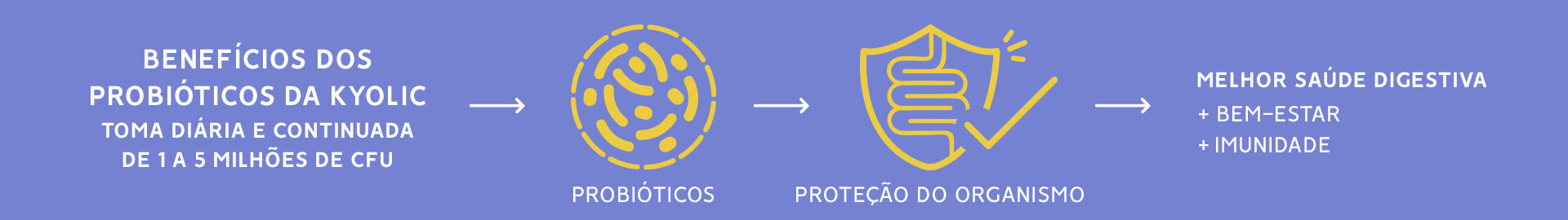 Kyolic Benefícios Probióticos Kyolic Benefícios Probióticos