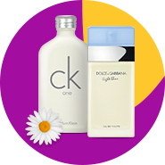 WF - Florais e Frutados - CLP Perfumes
