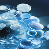 Aquasource Hydra Barrier Cream Wells Image 4