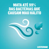 Elixir Sabor a Mentol Wells Image 4