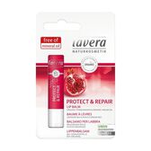 Batom Hidratante Protect & Repair Lip Balm Wells