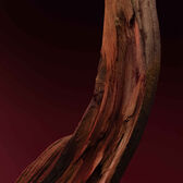 Hugo Boss The Scent For Him Elixir EDP 50 ml Wells Image 6