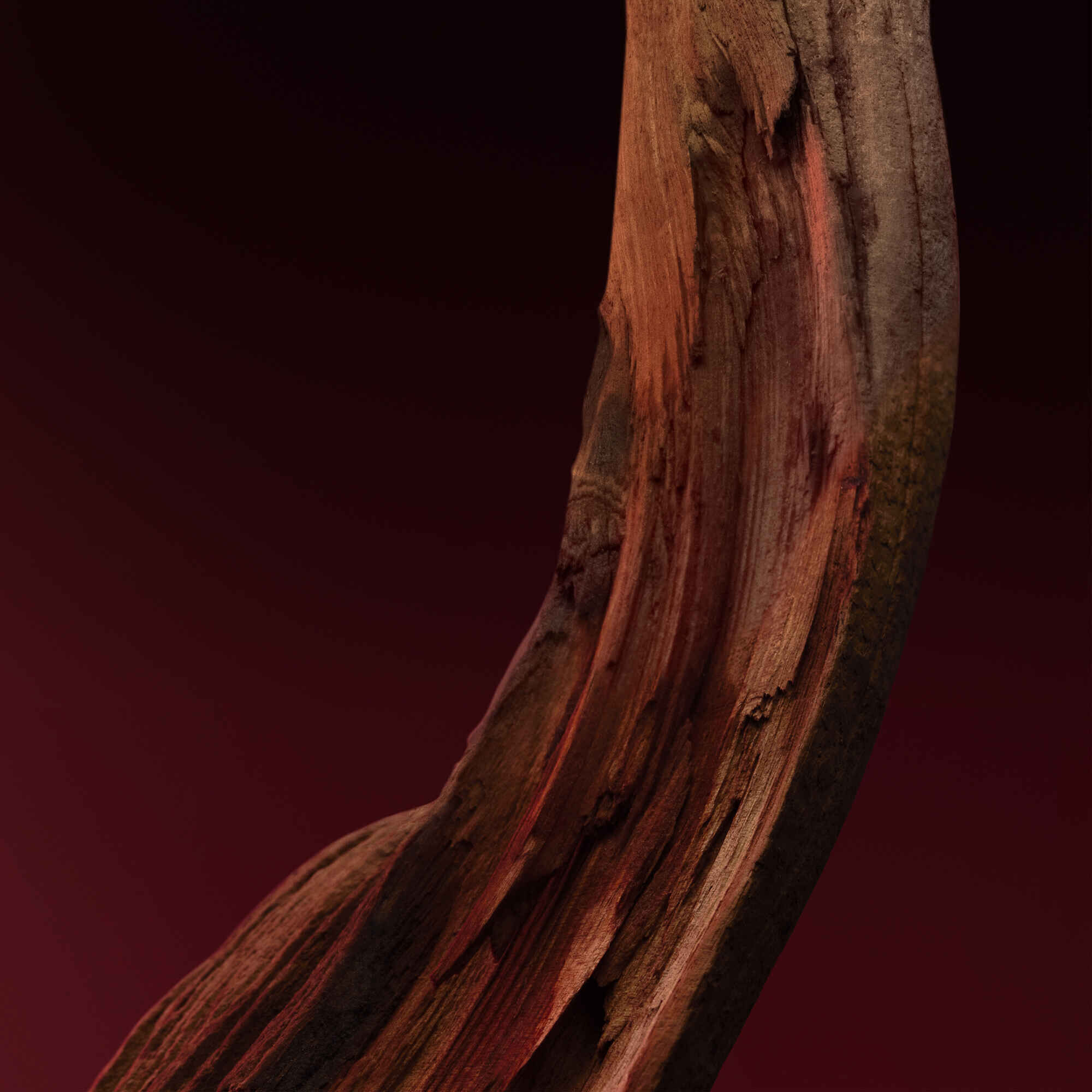 Hugo Boss The Scent For Him Elixir EDP