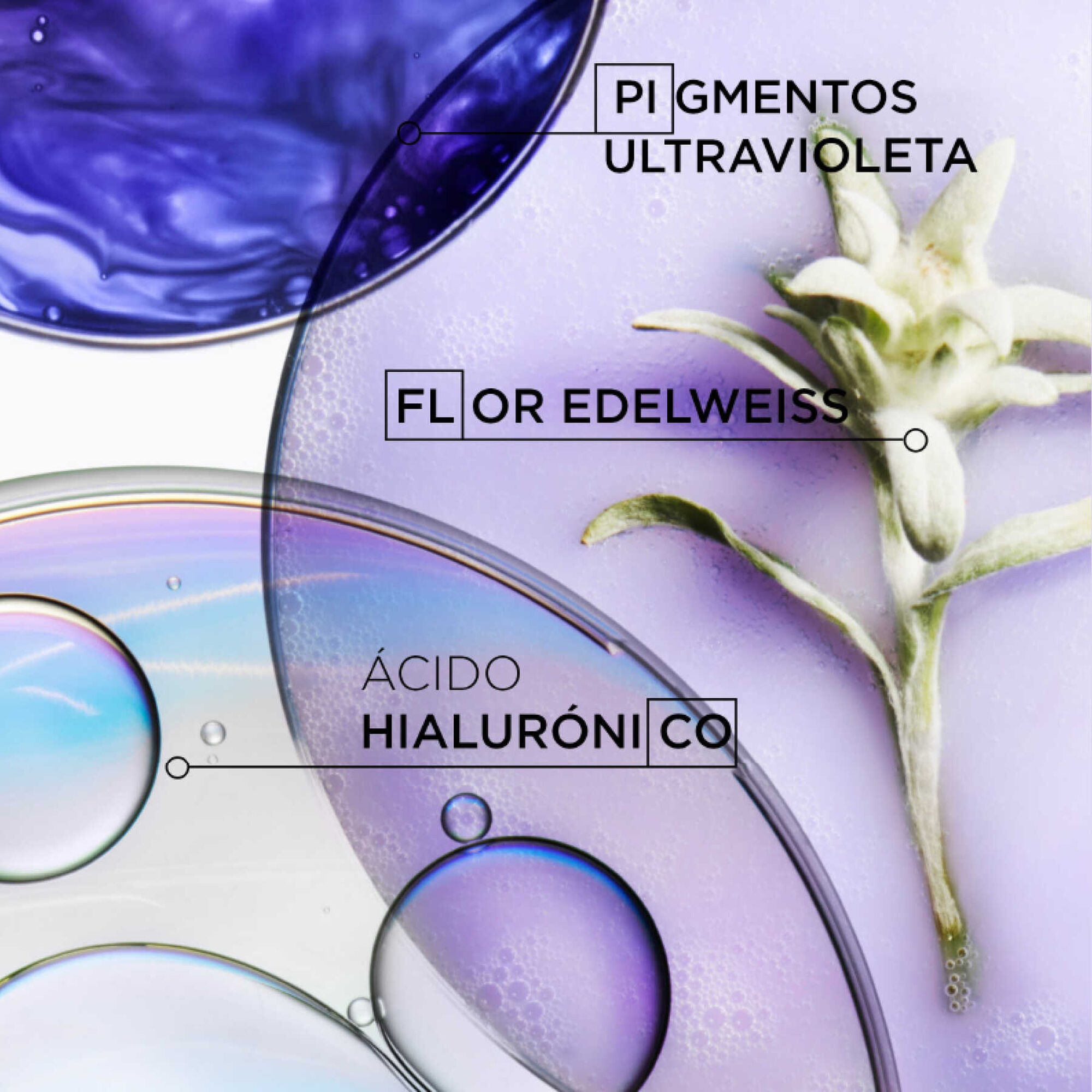 Blond Absolu Cicaplasme