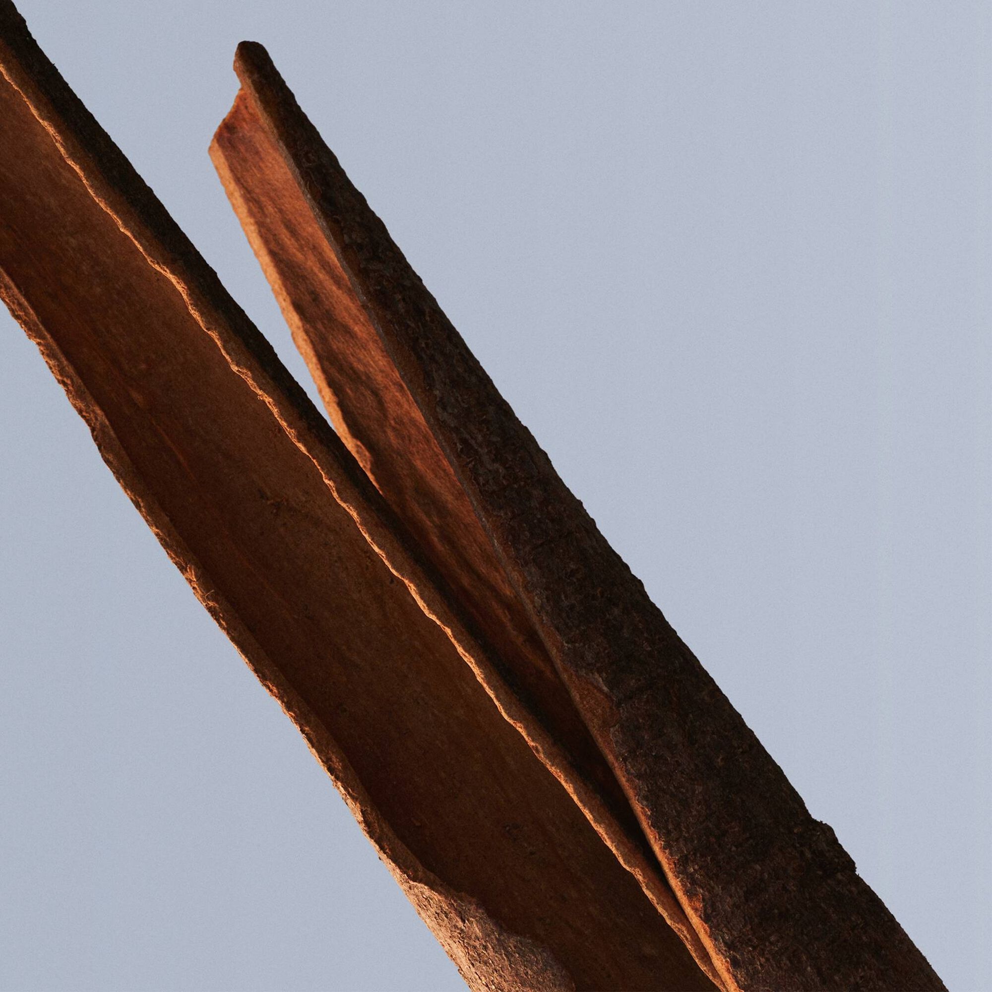 Hugo Boss Bottled EDT