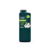 Gel Duche Purificante Detox Matcha Chá e Pêra 400 ml Wells Image 1