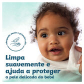 Toalhitas Bebé Aqua Pure Aloé Vera Wells Image 5