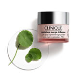 Moisture Surge Intense 72H Hydrator Wells Image 6