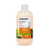 Champô  Nutritive & Reparair Reset Wells