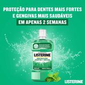 Elixir Proteção Dentes e Gengivas Menta Wells Image 2