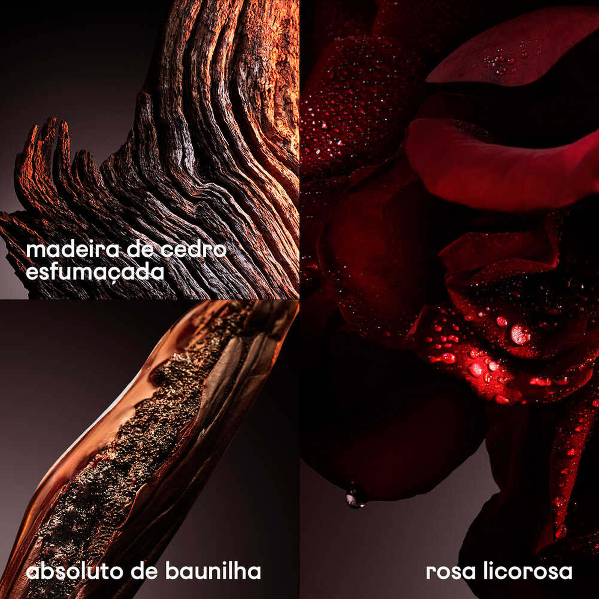 Rabanne 1 Million Elixir Intense 