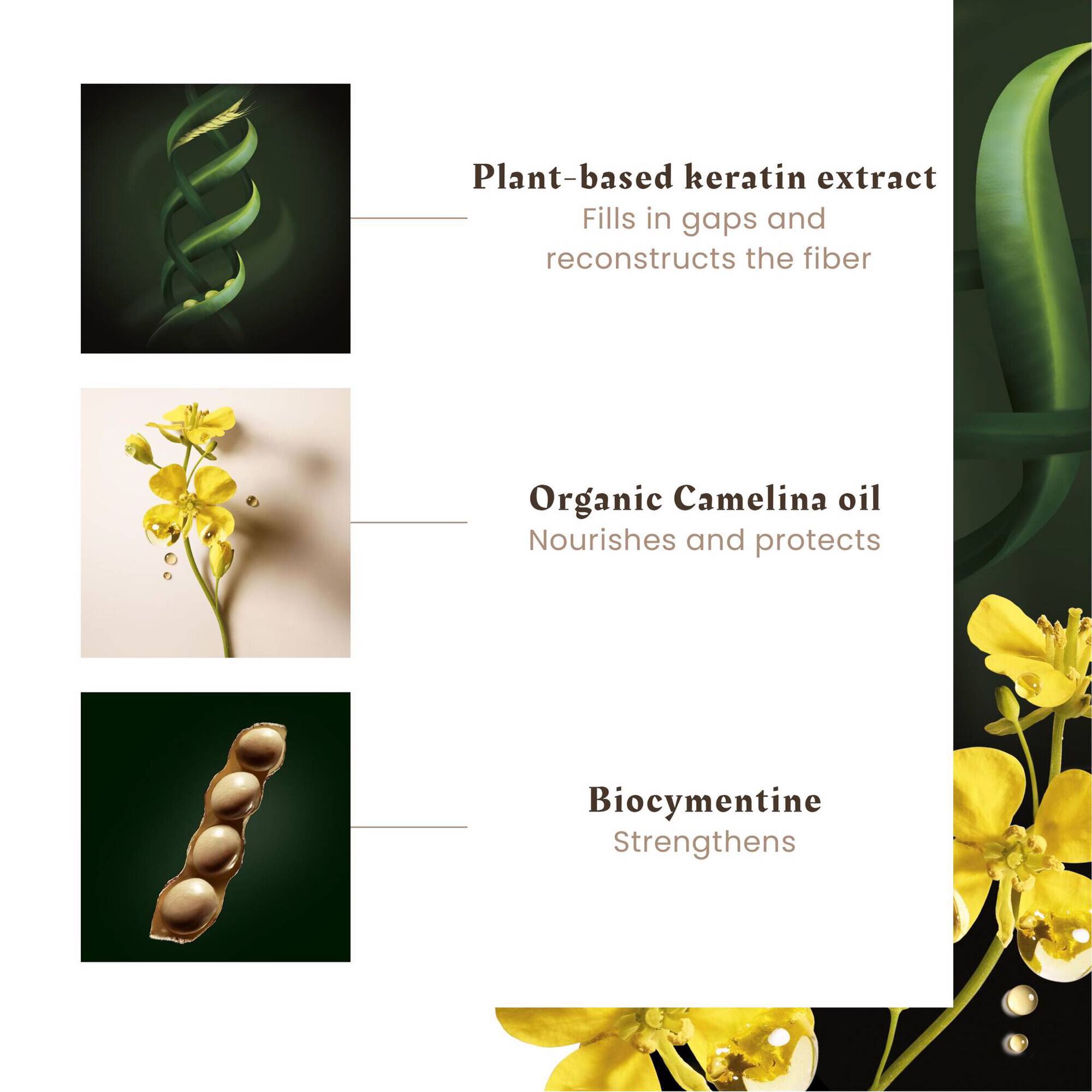 Absolue Kératine Repairing Mask