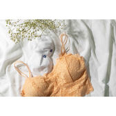 Discos Amamentação Laváveis Wells Image 4