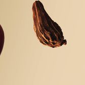 Hugo Boss Bottled EDP Wells Image 7