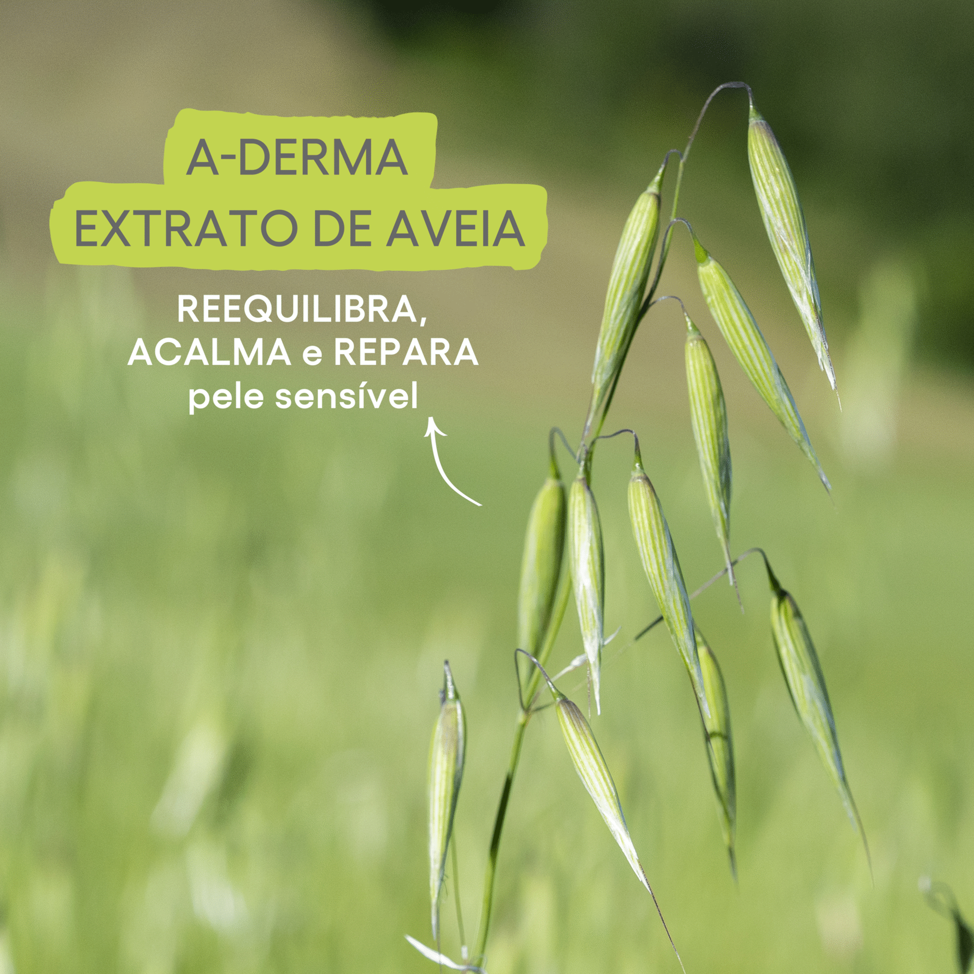 Exomega Control 2in1 Emollient Cleansing Gel