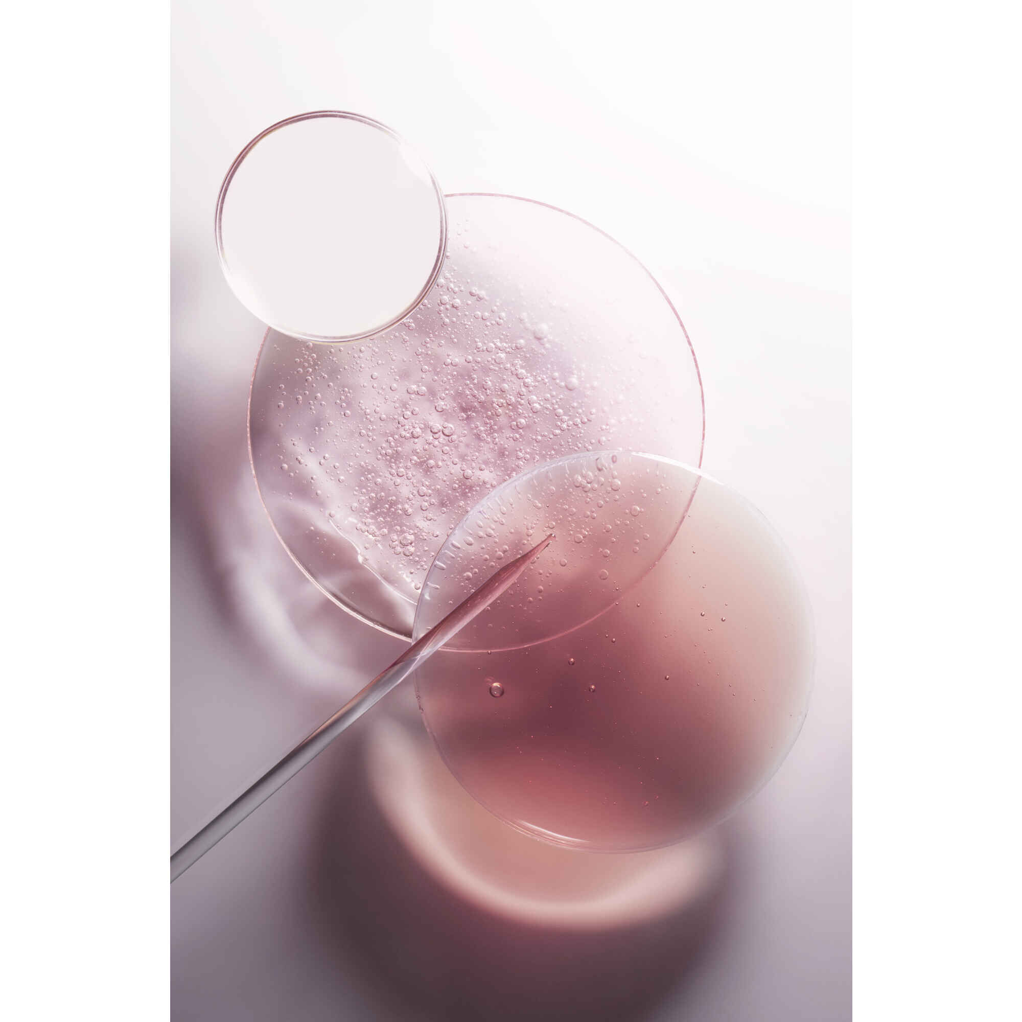 Chroma Absolu Soin Acide Chroma Gloss