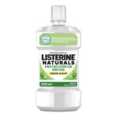 Elixir Natural Proteção Gengivas Menta Suave Wells Image 1