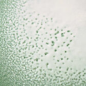 Benvoleo Glossy Express Conditioner Wells Image 5