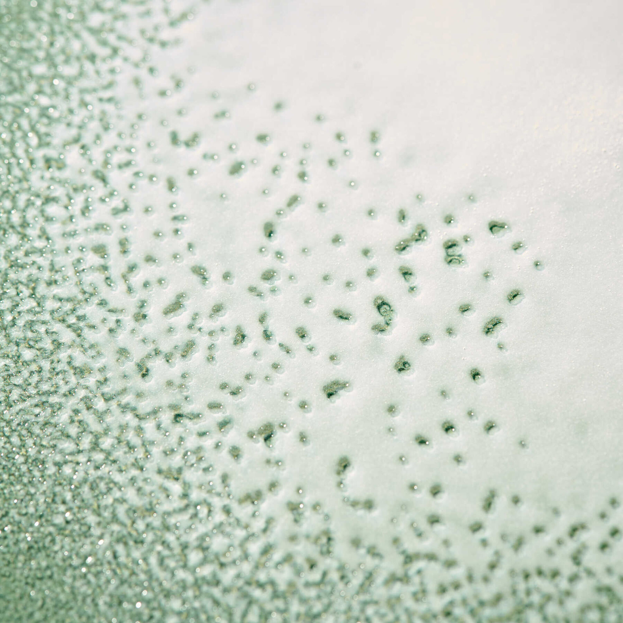 Benvoleo Glossy Express Conditioner