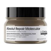 Máscara Cabelo Serie Expert Absolut Repair Molecular Wells