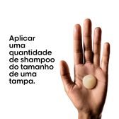 Absolut Repair Serie Expert Shampoo Wells Image 8