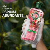 Champô Suaviza Aroma a Rosas Wells Image 6