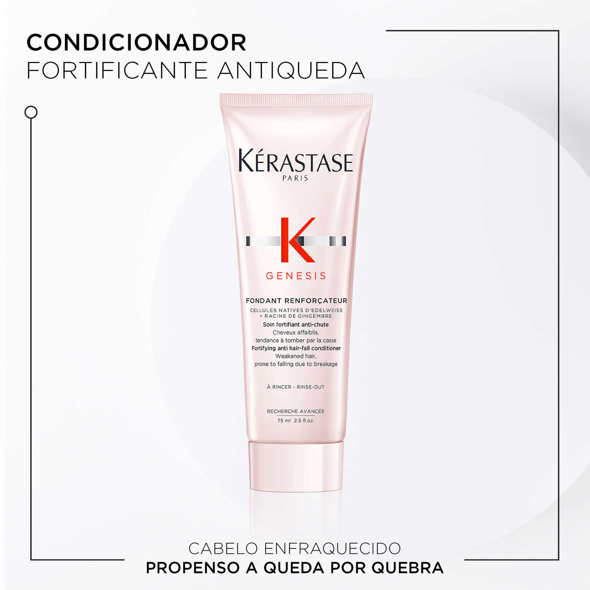 Coffret Genesis Anti Hair-fall Fortifying