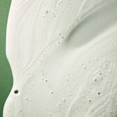 Benvoleo Recovery Shampoo Wells Image 5