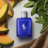 Ralph Lauren Polo Blue Eau Toilette Recarga Wells Image 3