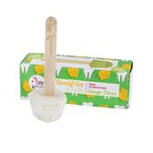 Pasta de Dentes Sólida Sálvia e Limão Wells