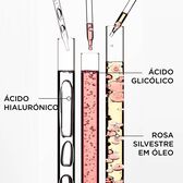 Gloss Absolu Bain Hydra-Glaze Shampoo Wells Image 5