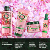 Champô Suaviza Aroma a Rosas Wells Image 4