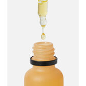 Sérum de Rosto Nutritivo Café Wells Image 6