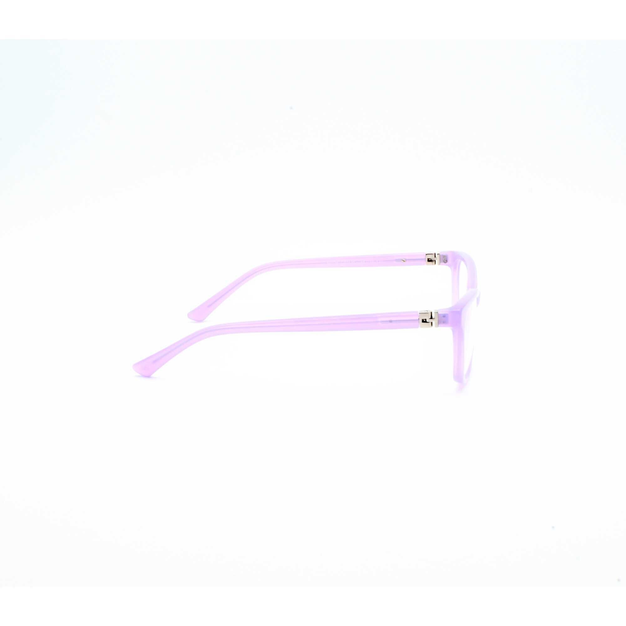 Armação  WE36 C25AcLvLv