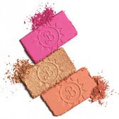 Paleta de Blush Greetings From Barbie Land Wells Image 4