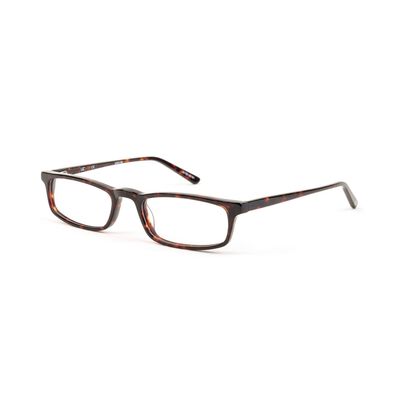 Armação Óculos We Tartaruga 18119