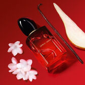 Sì Passione Eau de Parfum Intense Refill Wells Image 3