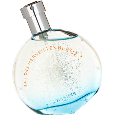 Hermes Eau des Merveilles Bleue Eau Toilette Wells Image 1