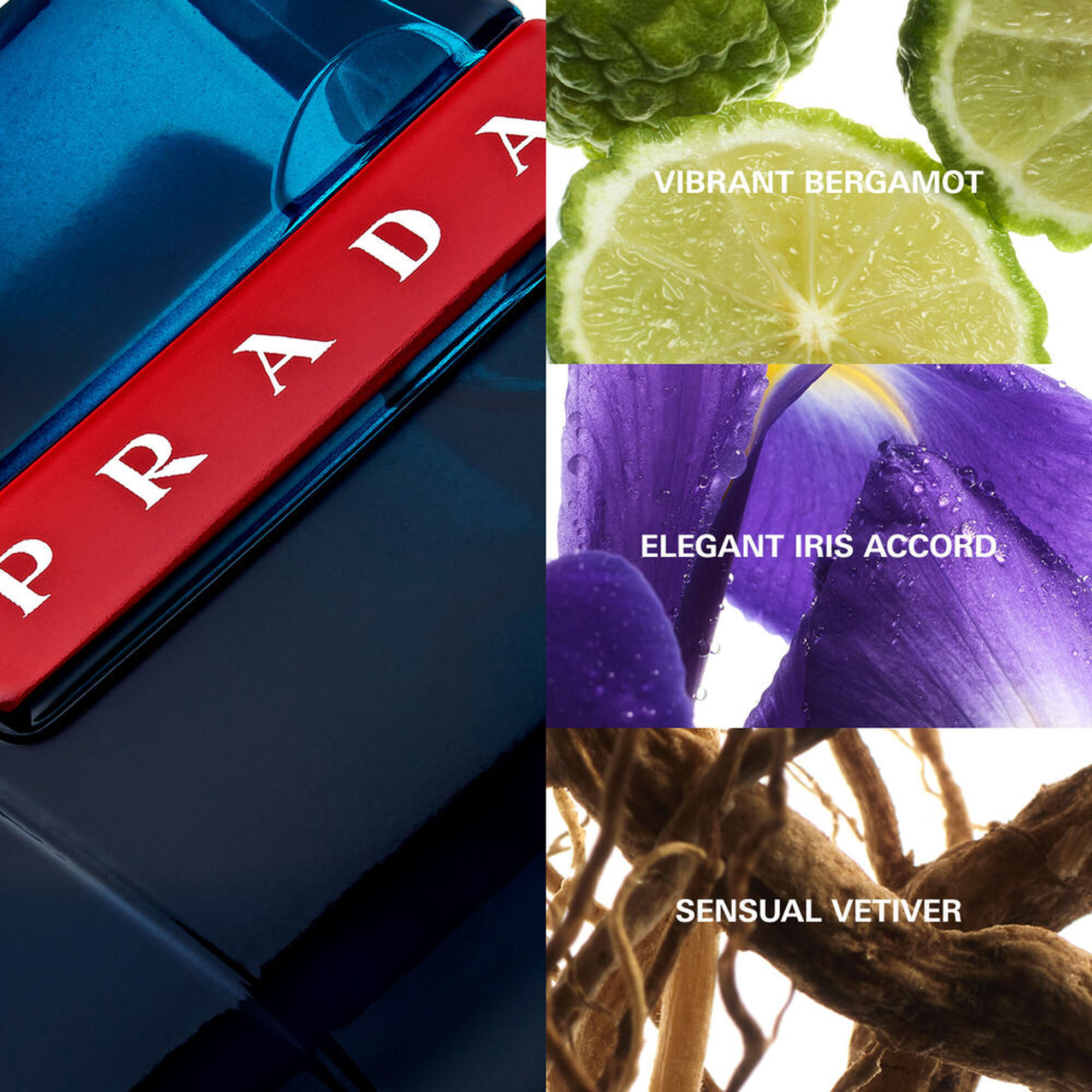 Pack Luna Rossa Ocean Eau de Toilette