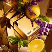 Dolce & Gabbana Gold The One Homme Intense EDP 100 ml Wells Image 6