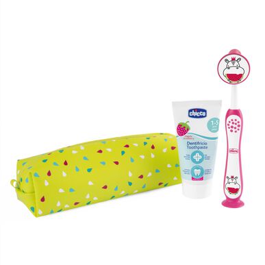 Kit Higiene Oral Rapariga Hipo Rosa 36M+ Wells