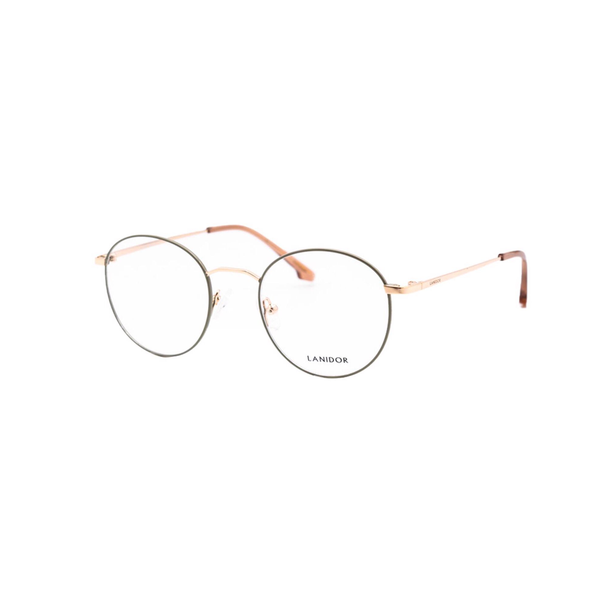 Armação Óculos Lanidor 453 48 M24MCVD